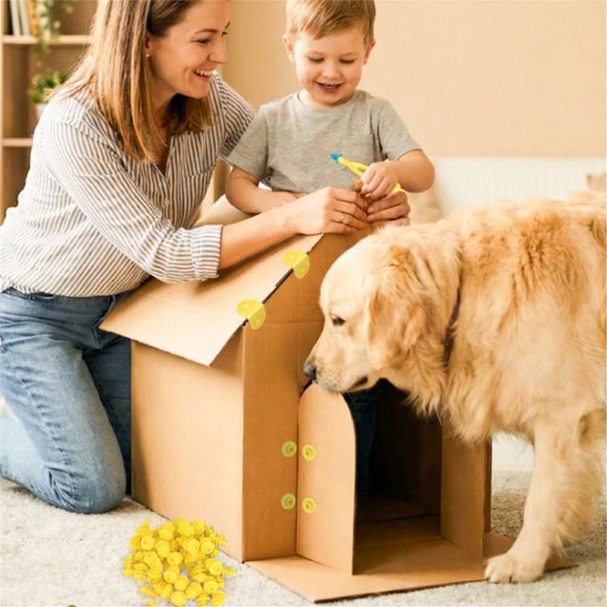 【MUST-HAVE LIST】 Cardboard Con - Kids Toys List ulasan dan harga
